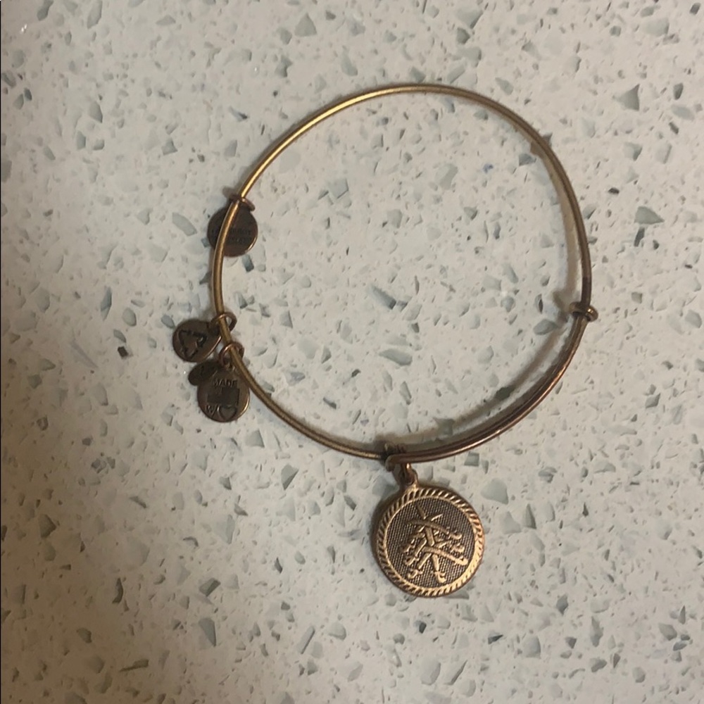 Alex and Ani charm bracelet